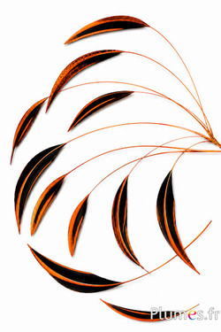Canard Mandarin strippé - 15-20 cm - orange